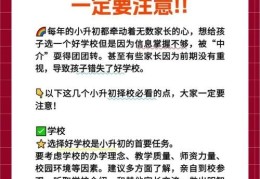 元朗小学插班费用及校网分析 家长择校关键点