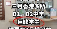 香港中学插班指南 跨境学童适应与课程衔接