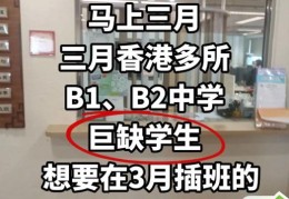 香港中学插班指南 跨境学童适应与课程衔接