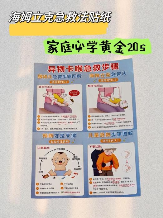 中四插班必读 2024香港秋季入学关键步骤详解