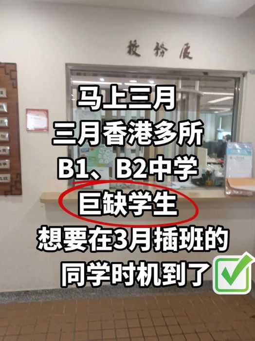香港中学插班指南 跨境学童适应与课程衔接