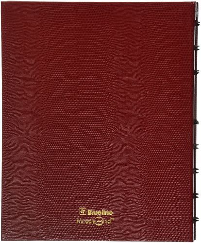 香港中学插班指南 Bind1申请流程与择校建议