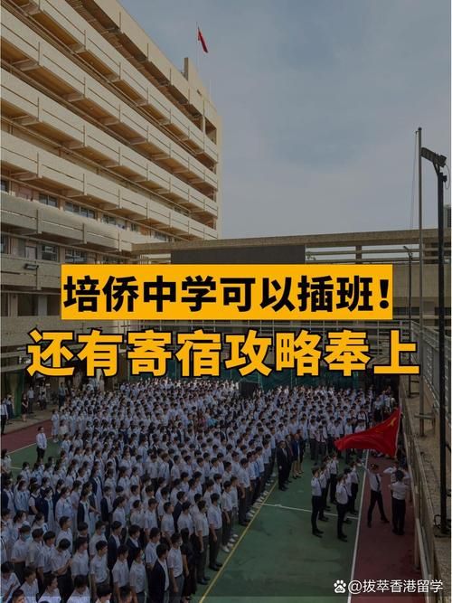 香港中学插班视频回放在哪看？官方渠道与免费资源