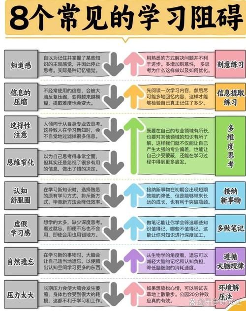 香港中学插班考指南 2025年备考策略与流程解析