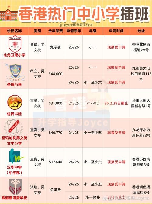 中三插班面试2024 香港本地校与国际校流程对比