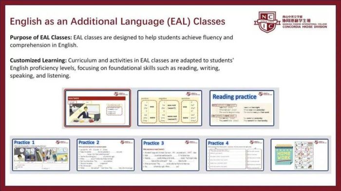 香港中学插班自荐信模板 2025最新写作指南与范例