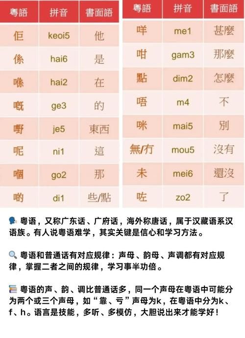 粤语零基础如何适应香港插班？附免费学习资源推荐