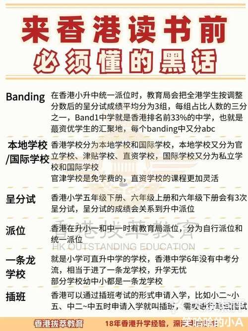 新移民必看 香港插班小学的语言衔接与课程差异解析