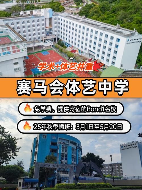 香港中学插班流程核实要点 资深顾问经验分享